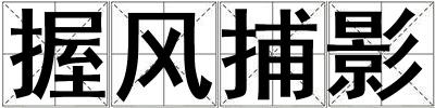 握風捕影