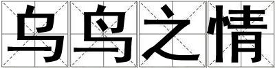 烏鳥之情