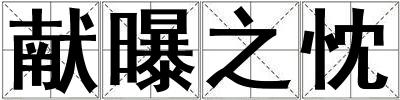 獻(xiàn)曝之忱