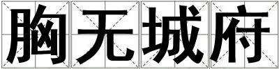 胸無城府