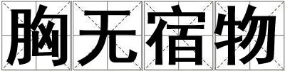 胸無宿物