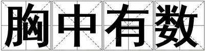 胸中有數(shù)