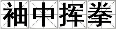 袖中揮拳