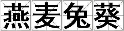 燕麥兔葵