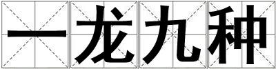 一龍九種