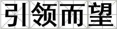 引領而望