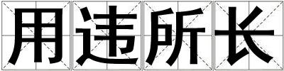 用違所長