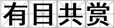有目共賞