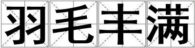 羽毛豐滿