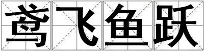 鳶飛魚(yú)躍