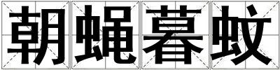 朝蠅暮蚊