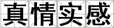 真情實(shí)感