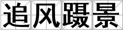 追風躡景
