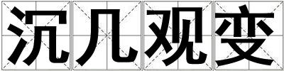 沉幾觀變