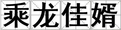 乘龍佳婿