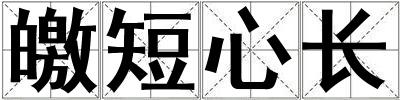 皦短心長