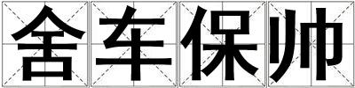 舍車保帥