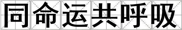 同命運(yùn)共呼吸