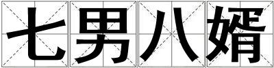 七男八婿