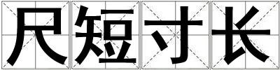 尺短寸長