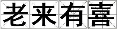 老來有喜