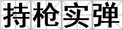 持槍實(shí)彈
