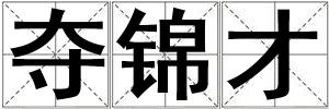 奪錦才