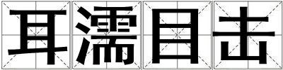 耳濡目擊