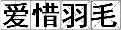 愛惜羽毛