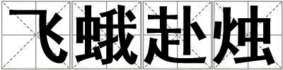 飛蛾赴燭