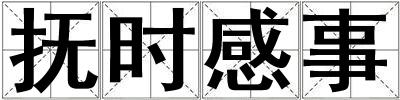 撫時(shí)感事