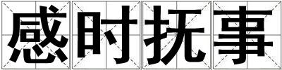 感時(shí)撫事